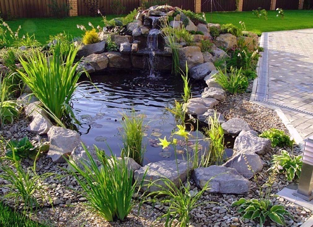 Дизайн ландшафта. Обустройство пруда на дачном участке