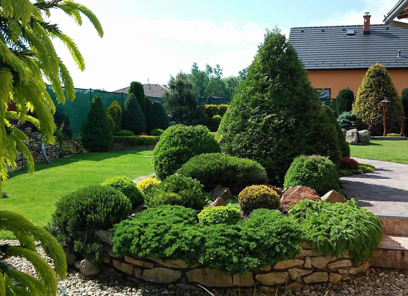 Дизайн ландшафта. Преимущества хвойных насаждений